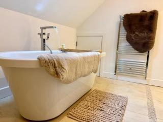 The House of Brilliant Brains Cambridge - 5