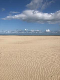 Strandnest Renesse - 4