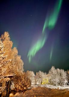 Aurora Cozy Studio - 8