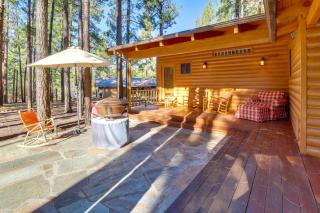 Bears Den 2 Mi to Pinetop CC Ski, Sled, Hike! - 8