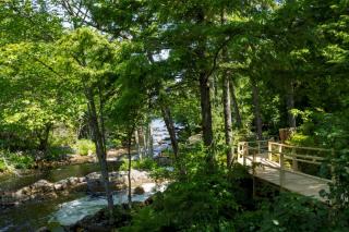 Mersey River Chalets a nature retreat - Caledonia - 6