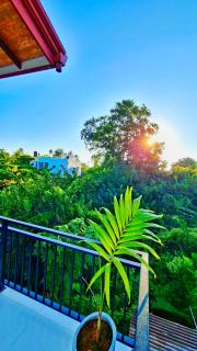 Mangrove Inn Mirissa - 2