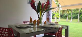 APT LES OISEAUX DU PARADIS 30m DE LA PLAGE VUE MER - 8