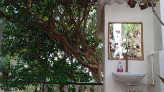 La Magia del Atardecer - Campesina - 7