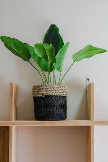 Pink, Romantic Paradise Aruba Getaway near Beaches - 1