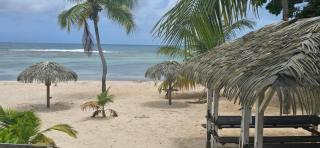 APT LES OISEAUX DU PARADIS 30m DE LA PLAGE VUE MER - 6