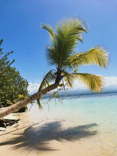 APT LES OISEAUX DU PARADIS 30m DE LA PLAGE VUE MER - 7