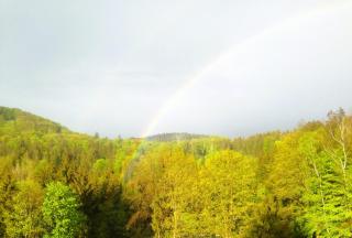 Alexandra am Wald - 1