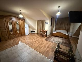 Central Mansard Studio - 7