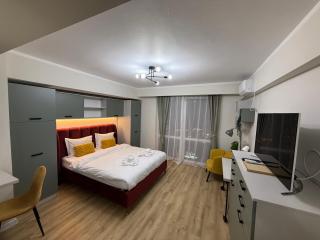 Victoriei Studio Old City - 5