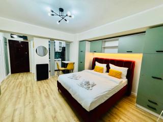 Victoriei Studio Old City - 2