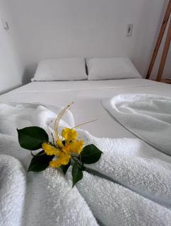 Araraúna Pousada - 9