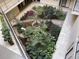 Apartment near Zona Real Zapopan - 2