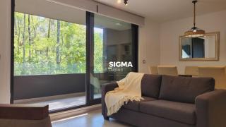 Amplio Depto al Bosque en Pucón - 3