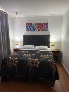 Deptos amoblados providencia - 4