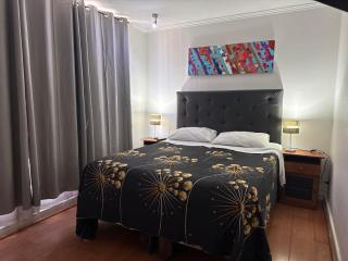 Deptos amoblados providencia - 5