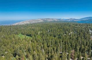 Smoke Tree-Newly Updated Family Retreat - 7