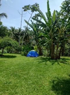 Camping crisemilhabela - 4