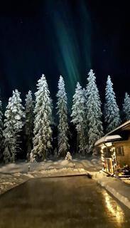 Arctic Giantlog Villa with private ice rink - 7