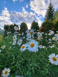 Ferienwohnung Haus Ebner - 2