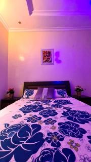 Cosy Dig - Lekki - 6