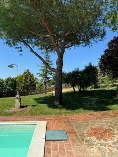 Locazione turistica ex Le Casette Di Cedromonte - 7