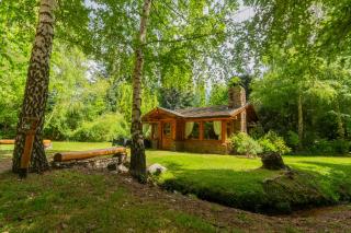 Cabañas En el Corazón del Bosque - 0