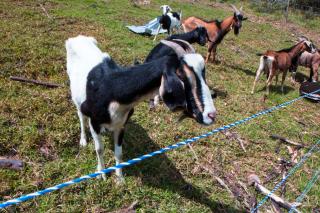 Villa Germana - Paipa - 6