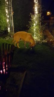 Ferienwohnung im Traumhaus - 7