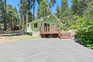 Happy Bear- Family & Pet Friendly - 0