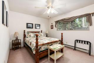 Happy Bear- Family & Pet Friendly - 8