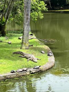 República Descolada! Exclusiva para mulheres! - 2