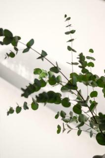 Chic Georgian Escape, Central Bath - 3