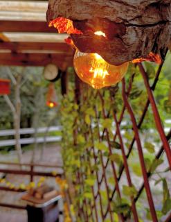 Pousada Quinta das cores - 7