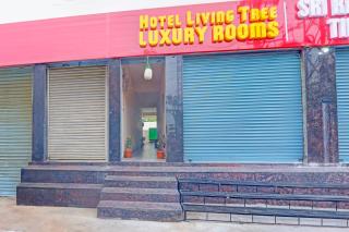 Super Townhouse SP Living Tree - 9