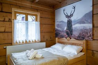 Domek u Świerków 2 - Zabytkowe domki 4 i 8 osobowe i apartamenty z aneksem kuchennym, 1,5km Termy Chochołowskie - 2