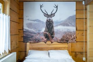 Domek u Świerków 2 - Zabytkowe domki 4 i 8 osobowe i apartamenty z aneksem kuchennym, 1,5km Termy Chochołowskie - 3