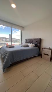 ONE, Luxury Carolina Suite - 6