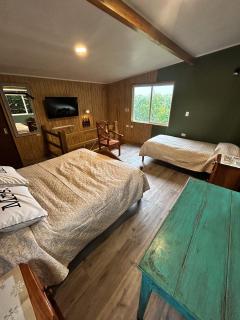 La casa pajarito, tu refugio en Curiñanco - 6