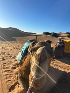 Exquisite Merzouga Desert Camp - 5