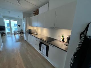 Odense Habor with access to the harbor sauna and pool - 0