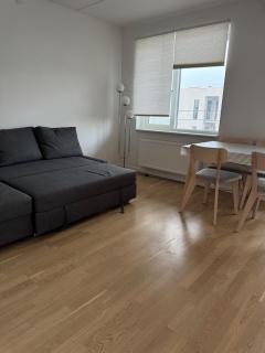 Odense Habor with access to the harbor sauna and pool - 2