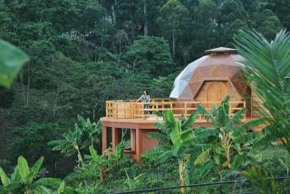 LA PERLA FINCA HOTEL - 6