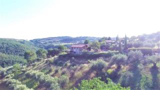 Villa Mario & Friends - 5