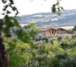 Villa Mario & Friends - 6