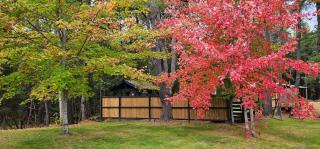 Nordik Spa Cabin - Hot Tub & Sauna - Winter Escape - Killaloe Station - 6