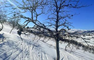 Awesome Home In Tjørhom - 2