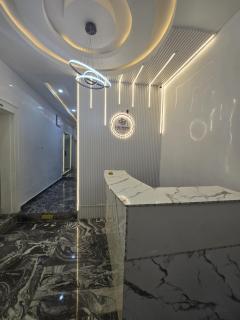 The White Residence, Jabi, Abuja - 6