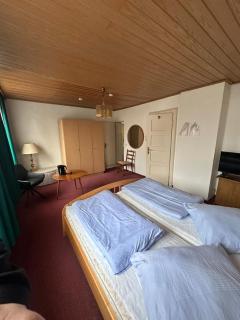 Hotel Salzufler Hof - 6