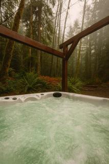 Lux Rainier Chalet With Hot tub, Sauna-Fireplace, WiFi - 2